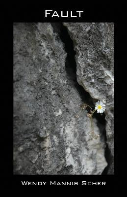 Fault by Scher, Wendy Mannis