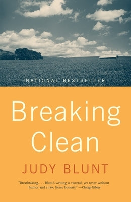 Breaking Clean by Blunt, Judy