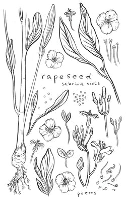 Rapeseed: Poetry and Writing About Life After Rape by Scott, Sabrina