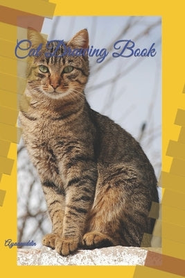 Cat Drawing Book: Ayaanuddin by Ayaanuddin