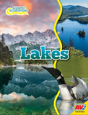 Lakes by Willis, John