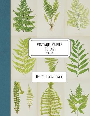 Vintage Prints: Ferns: Vol. 2 by Lawrence, E.