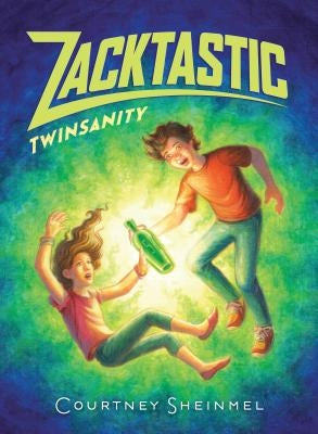 Twinsanity by Sheinmel, Courtney