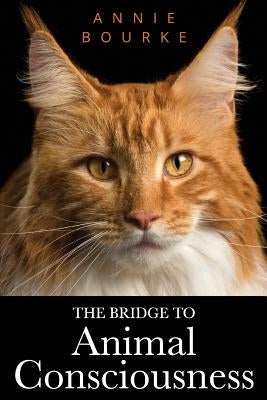 The Bridge To Animal Consciousness by Bourke, Annie