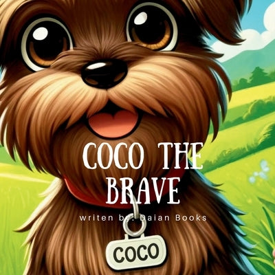 Coco The Brave by Books, Daian
