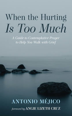 When the Hurting Is Too Much: A Guide to Contemplative Prayer to Help You Walk with Grief by Méjico, Antonio
