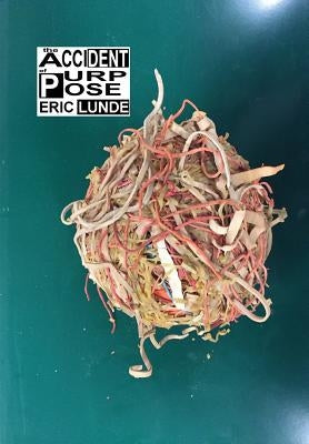 The Accident of Purpose (Hardcover Edition) by Lunde, Eric