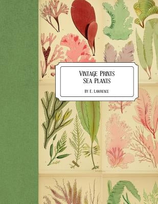 Vintage Prints: Sea Plants by Lawrence, E.