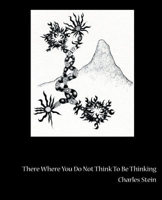 There Where You Do Not Think to Be Thinking: Views from Tornado Island, Book 12: (From Theforestforthetrees) by Stein, Charles