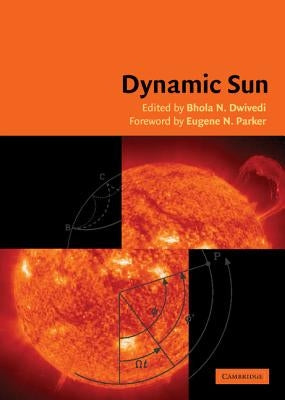 Dynamic Sun by Dwivedi, B. N.
