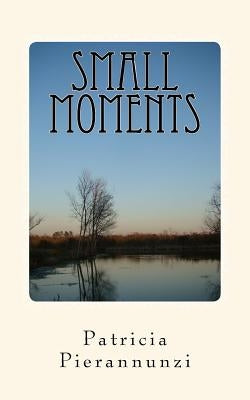Small Moments by Pierannunzi, Patricia