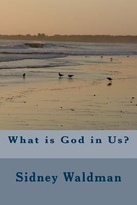 What is God in Us? by Waldman, Sidney