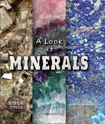 A Look at Minerals by Brannon, Cecelia H.
