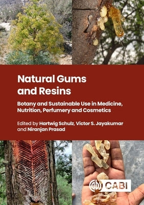 Natural Gums and Resins: Botany and Sustainable Uses in Medicine, Nutrition, Perfumery and Cosmetics by Schulz, Hartwig