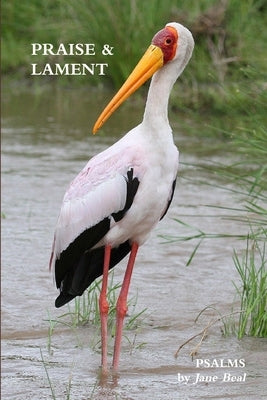Praise & Lament: Psalms for the God of Birds by Beal, Jane