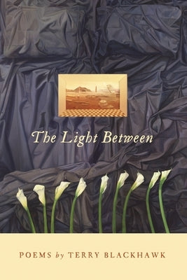 The Light Between by Blackhawk, Terry