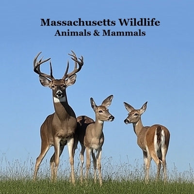 Massachusetts Animals and Mammals Kids Wildlife Book: Great Wildlife Book about Animals and Mammals in Massachusetts by Marie, Kinsey