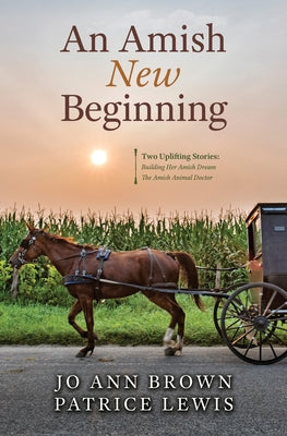 An Amish New Beginning by Brown, Jo Ann