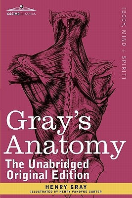 Gray's Anatomy: Descriptive and Surgical by Gray, Henry