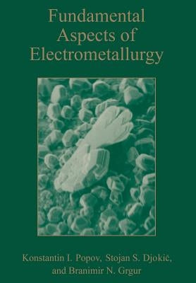 Fundamental Aspects of Electrometallurgy by Popov, Konstantin