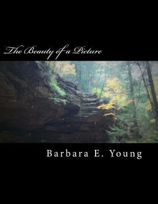 The Beauty of a Picture: A collection of my photography by Young, Barbara E.