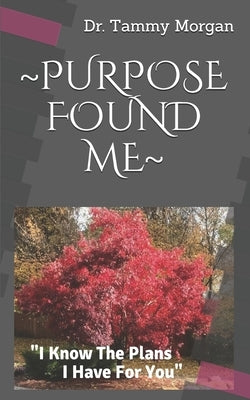 Purpose Found Me: I Know The Plans I Have For You by Morgan, Tammy