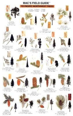 Mac's Field Guides: Northwest Trees by Macgowan, Craig