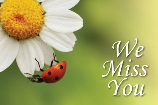 We Miss You Ladybug Postcard (Pkg of 25) by Abingdon Press