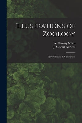 Illustrations of Zoology: Invertebrates & Vertebrates by Smith, W. Ramsay (William Ramsay) 18