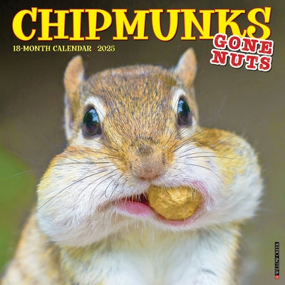 Chipmunks (Gone Nuts!) 2025 12 X 12 Wall Calendar by Willow Creek Press