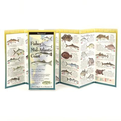 Fishes of the Mid-Atlantic Coast by Shipp, Robert