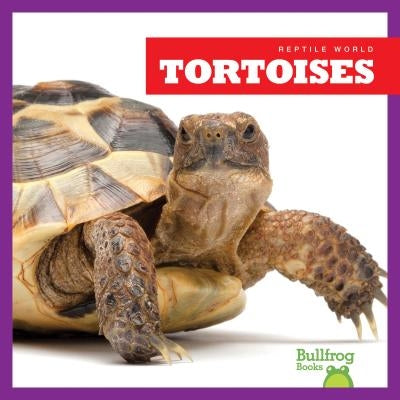 Tortoises by Black, Vanessa