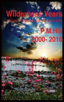 Wilderness Years by Hill, Philip