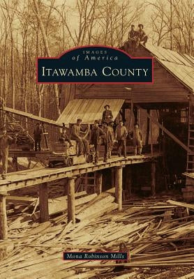 Itawamba County by Mills, Mona Robinson