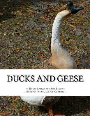 Ducks and Geese by Slocum, Rob