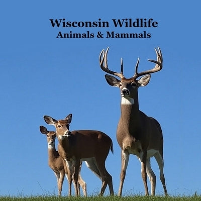 Wisconsin Animals and Mammals Wildlife Book: Great Wisconsin Animals book with Lifelike Images and Fun Facts by Marie, Kinsey