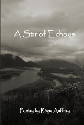 A Stir of Echoes by Auffray, Régis
