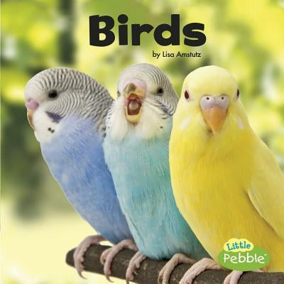 Birds by Amstutz, Lisa J.