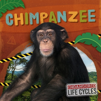 Chimpanzee by Andrews, E. C.