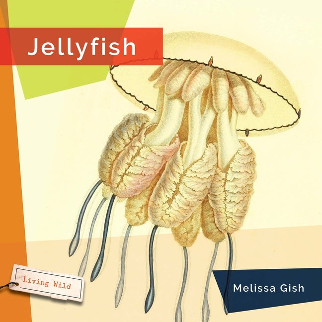 Jellyfish by Gish, Melissa
