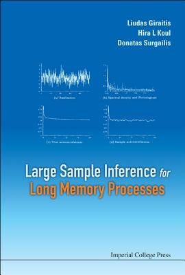 Large Sample Inference for Long Memory Processes by Surgailis, Donatas