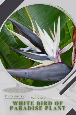 White Bird of Paradise plant: Plant Guide by Lalko, Andrey