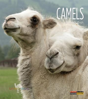 Camels by Gish, Melissa
