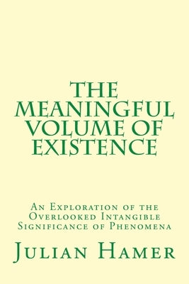 The Meaningful Volume of Existence: An Exploration of the Overlooked Intangible Significance of Phenomena by Hamer, Julian