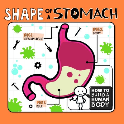 Shape of a Stomach by Holmes, Kirsty