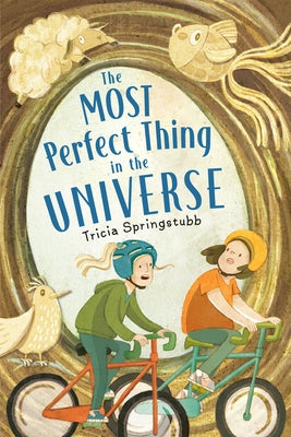 The Most Perfect Thing in the Universe by Springstubb, Tricia