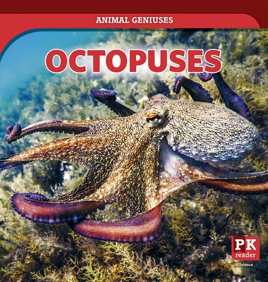 Octopuses by Emminizer, Theresa