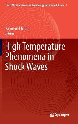 High Temperature Phenomena in Shock Waves by Brun, Raymond