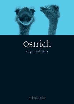 Ostrich by Williams, Edgar