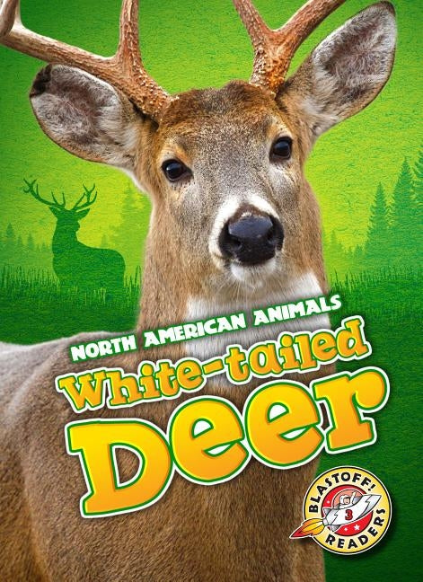 White-Tailed Deer by Bowman, Chris